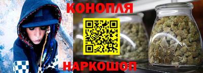 бошки Дубна