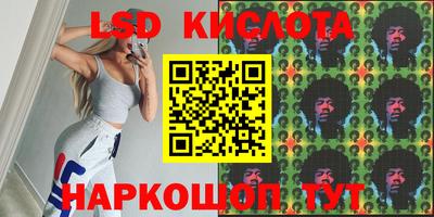 крисы Аргун