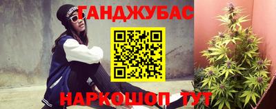 прущие грибы Апшеронск