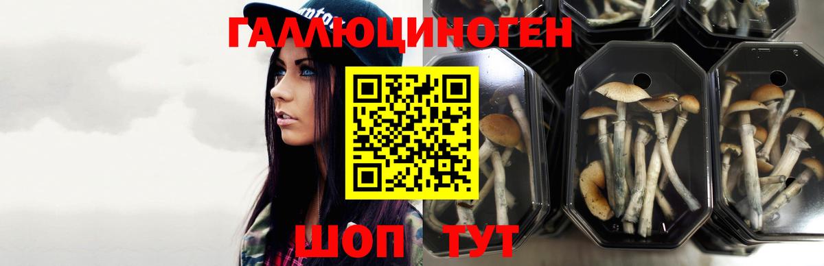 Галлюциногенные грибы ЛСД  Галлюциногенные грибы MAGIC MUSHROOMS  Воскресенск 